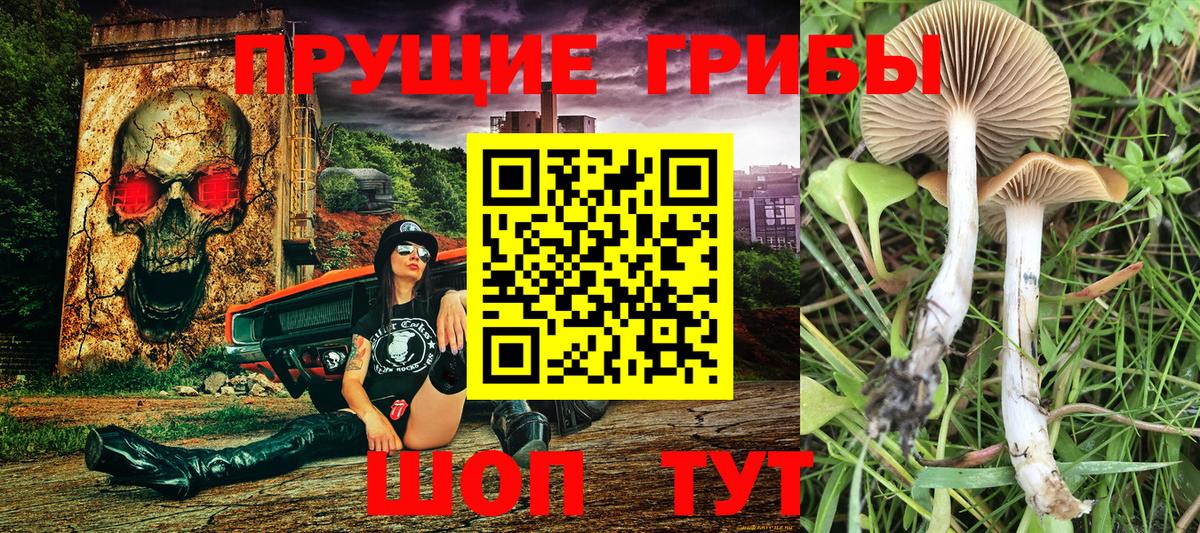 Галлюциногенные грибы мухоморы Екатеринбург